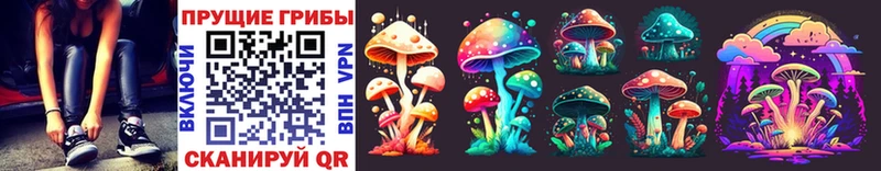 где продают наркотики  Богородицк  Псилоцибиновые грибы Psilocybine cubensis 